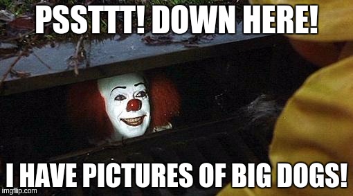pennywise | PSSTTT! DOWN HERE! I HAVE PICTURES OF BIG DOGS! | image tagged in pennywise | made w/ Imgflip meme maker
