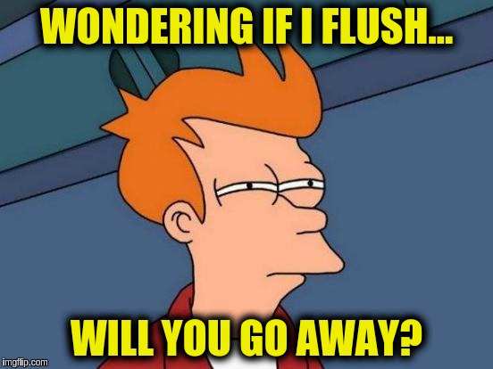 Futurama Fry | WONDERING IF I FLUSH... WILL YOU GO AWAY? | image tagged in memes,futurama fry | made w/ Imgflip meme maker