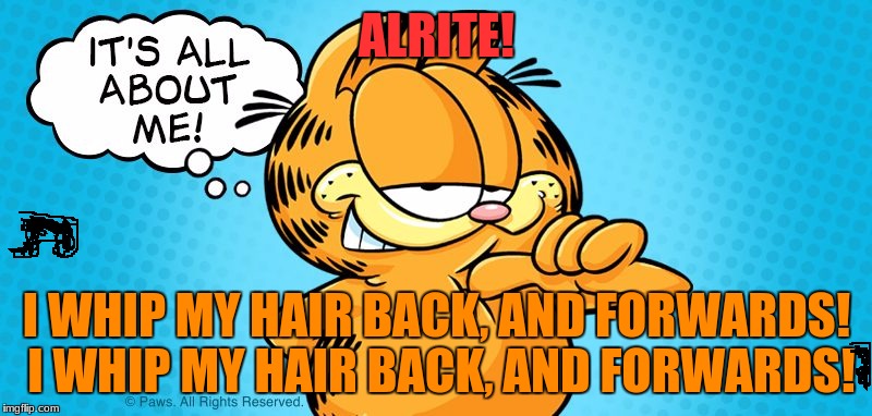 Approving  Garfield | ALRITE! I WHIP MY HAIR BACK, AND FORWARDS! I WHIP MY HAIR BACK, AND FORWARDS! | image tagged in approving  garfield | made w/ Imgflip meme maker