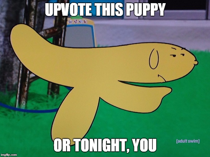 Tonight, You | UPVOTE THIS PUPPY; OR TONIGHT, YOU | image tagged in hand banana,athf,puppy,puppy week | made w/ Imgflip meme maker