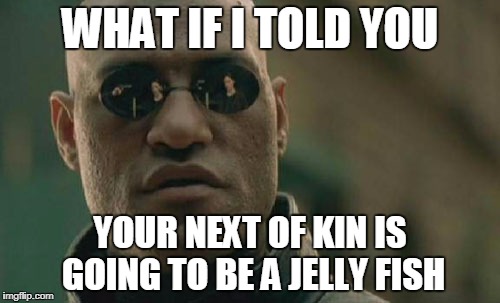 Matrix Morpheus Meme | WHAT IF I TOLD YOU; YOUR NEXT OF KIN IS GOING TO BE A JELLY FISH | image tagged in memes,matrix morpheus | made w/ Imgflip meme maker