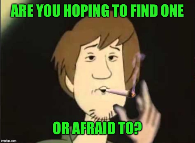 Shaggy joint | ARE YOU HOPING TO FIND ONE OR AFRAID TO? | image tagged in shaggy joint | made w/ Imgflip meme maker