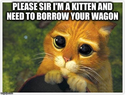 Wagon Cat  | PLEASE SIR I'M A KITTEN AND NEED TO BORROW YOUR WAGON | image tagged in memes,shrek cat,funny | made w/ Imgflip meme maker