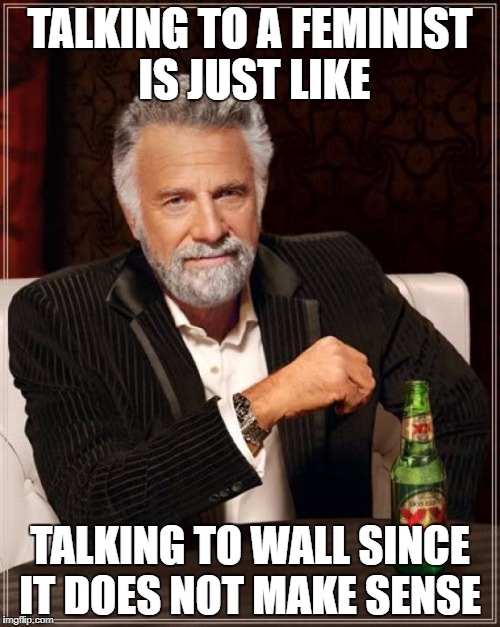 The Most Interesting Man In The World | TALKING TO A FEMINIST IS JUST LIKE; TALKING TO WALL SINCE IT DOES NOT MAKE SENSE | image tagged in memes,the most interesting man in the world | made w/ Imgflip meme maker