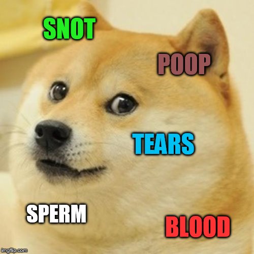 SNOT POOP TEARS SPERM BLOOD | image tagged in memes,doge | made w/ Imgflip meme maker
