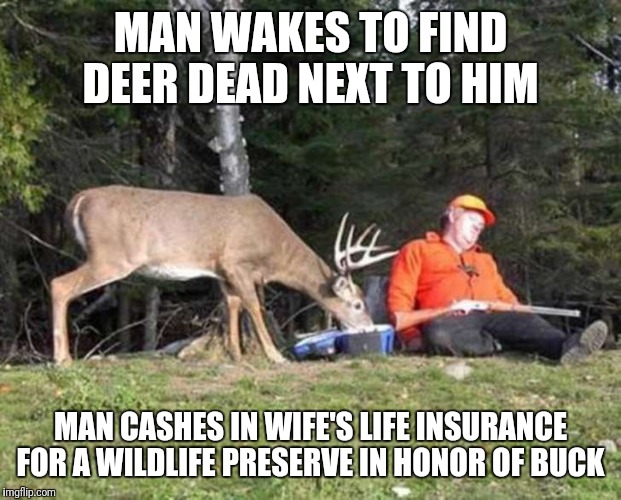 deerfail | MAN WAKES TO FIND DEER DEAD NEXT TO HIM; MAN CASHES IN WIFE'S LIFE INSURANCE FOR A WILDLIFE PRESERVE IN HONOR OF BUCK | image tagged in deerfail | made w/ Imgflip meme maker