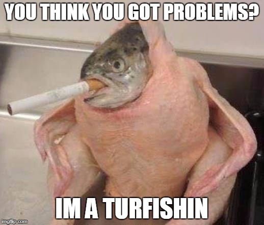 Bad ass fish | YOU THINK YOU GOT PROBLEMS? IM A TURFISHIN | image tagged in bad ass fish | made w/ Imgflip meme maker