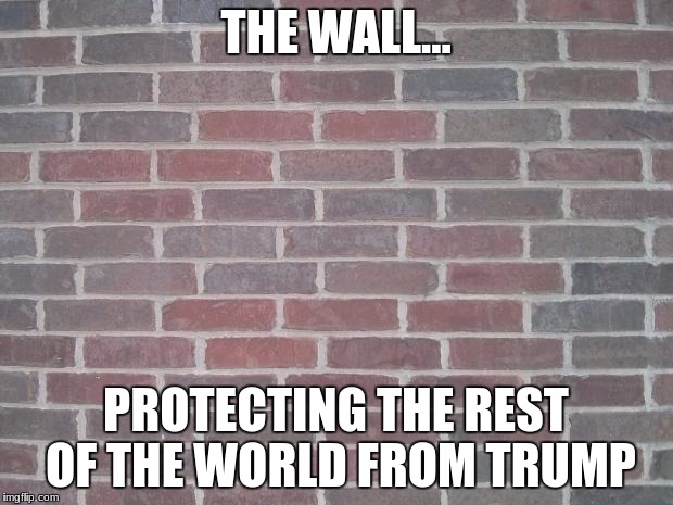 
my first meme | THE WALL... PROTECTING THE REST OF THE WORLD FROM TRUMP | image tagged in the wall | made w/ Imgflip meme maker