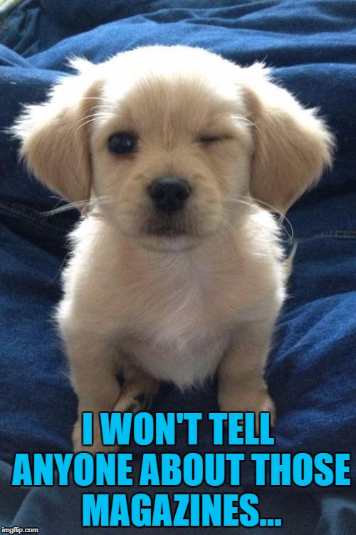 "Magazines" is a bit retro these days :) | I WON'T TELL ANYONE ABOUT THOSE MAGAZINES... | image tagged in harmless guilty pleasure puppy,memes,magazines,puppy week,animals,dogs | made w/ Imgflip meme maker