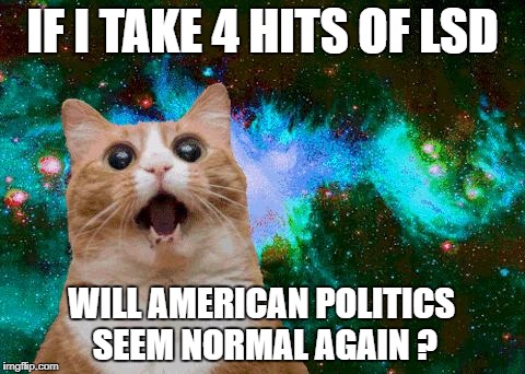 lsd brownies | IF I TAKE 4 HITS OF LSD; WILL AMERICAN POLITICS SEEM NORMAL AGAIN ? | image tagged in lsd brownies | made w/ Imgflip meme maker