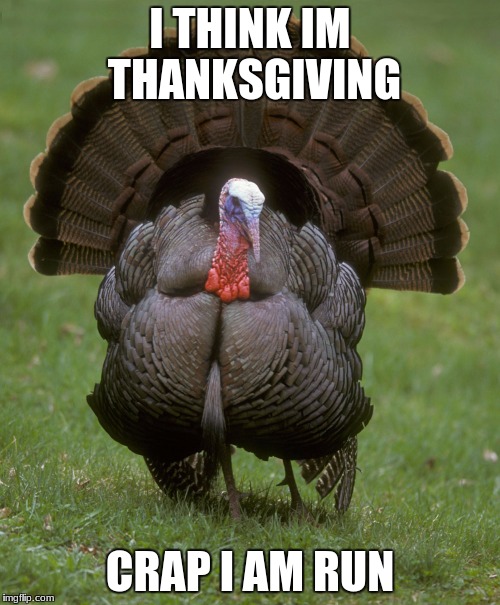 thanksgiving | I THINK IM THANKSGIVING; CRAP I AM RUN | image tagged in thanksgiving | made w/ Imgflip meme maker