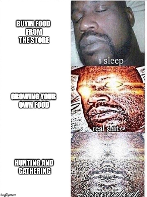 Shaq sleep | BUYIN FOOD FROM THE STORE; GROWING YOUR OWN FOOD; HUNTING AND GATHERING | image tagged in shaq sleep | made w/ Imgflip meme maker