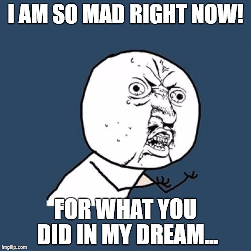 Y U No Meme | I AM SO MAD RIGHT NOW! FOR WHAT YOU DID IN MY DREAM... | image tagged in memes,y u no | made w/ Imgflip meme maker