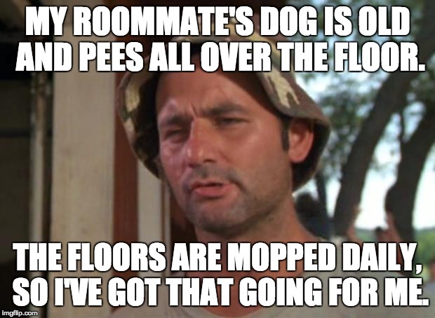 So I Got That Goin For Me Which Is Nice | MY ROOMMATE'S DOG IS OLD AND PEES ALL OVER THE FLOOR. THE FLOORS ARE MOPPED DAILY, SO I'VE GOT THAT GOING FOR ME. | image tagged in memes,so i got that goin for me which is nice,AdviceAnimals | made w/ Imgflip meme maker