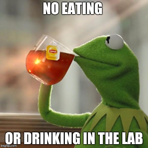 But That's None Of My Business Meme | NO EATING; OR DRINKING IN THE LAB | image tagged in memes,but thats none of my business,kermit the frog | made w/ Imgflip meme maker