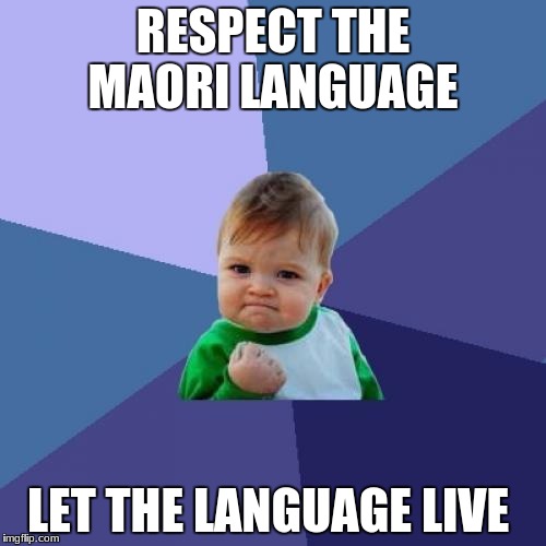 Success Kid Meme | RESPECT THE MAORI LANGUAGE; LET THE LANGUAGE LIVE | image tagged in memes,success kid | made w/ Imgflip meme maker