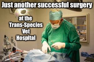 Just another successful surgery at the Trans-Species Vet Hospital | made w/ Imgflip meme maker