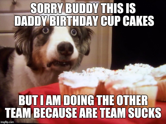 Cupcake dog | SORRY BUDDY THIS IS DADDY BIRTHDAY CUP CAKES; BUT I AM DOING THE OTHER TEAM BECAUSE ARE TEAM SUCKS | image tagged in cupcake dog | made w/ Imgflip meme maker