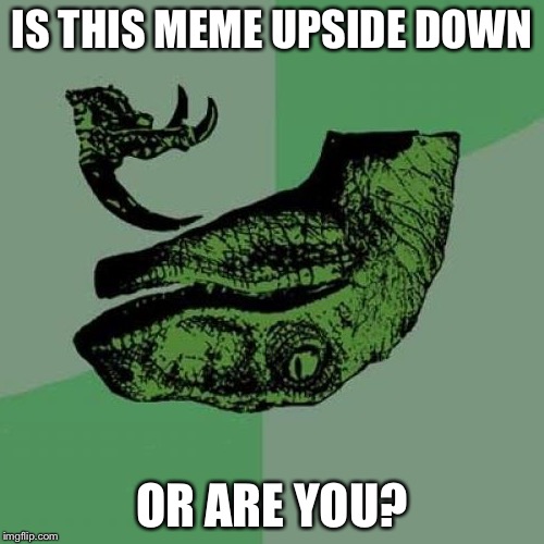 Philosoraptor | IS THIS MEME UPSIDE DOWN; OR ARE YOU? | image tagged in memes,philosoraptor | made w/ Imgflip meme maker