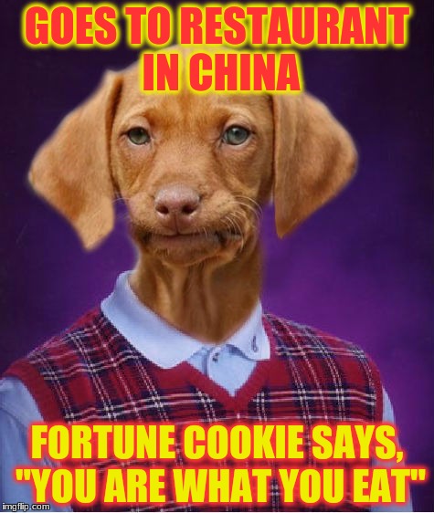 Good thing he didn't eat monkey brains. puppy week Lordcakethief event | GOES TO RESTAURANT IN CHINA; FORTUNE COOKIE SAYS, "YOU ARE WHAT YOU EAT" | image tagged in bad luck raydog,memes,funny,puppy week,deth_by_dodo,dank memes | made w/ Imgflip meme maker