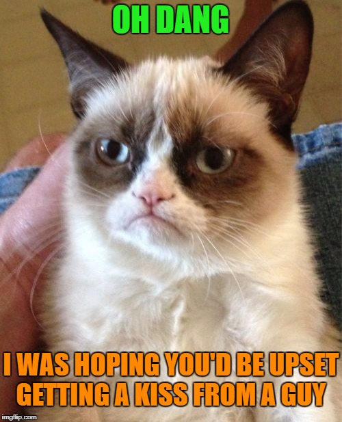Grumpy Cat Meme | OH DANG I WAS HOPING YOU'D BE UPSET GETTING A KISS FROM A GUY | image tagged in memes,grumpy cat | made w/ Imgflip meme maker