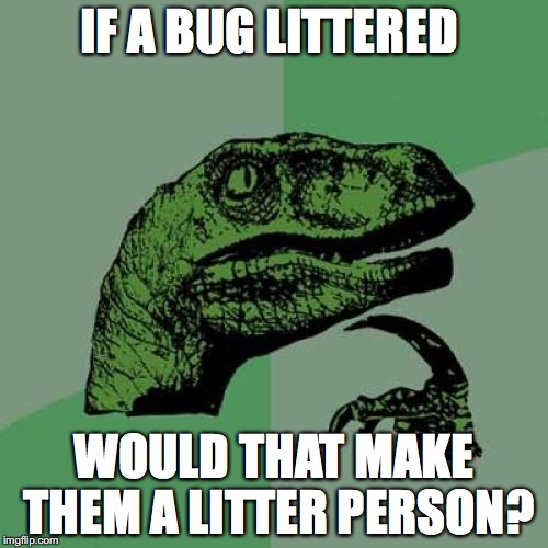 Philosoraptor Meme | IF A BUG LITTERED; WOULD THAT MAKE THEM A LITTER PERSON? | image tagged in memes,philosoraptor | made w/ Imgflip meme maker