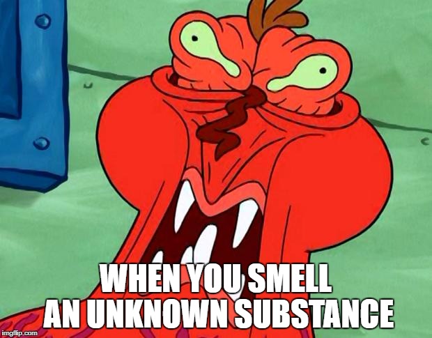 lab saftey | WHEN YOU SMELL AN UNKNOWN SUBSTANCE | image tagged in mr krabs,science,chemicals | made w/ Imgflip meme maker