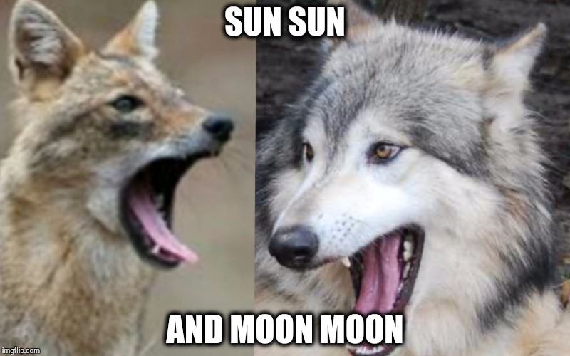 Sun Sun and Moon Moon | SUN SUN; AND MOON MOON | image tagged in moon moon,wolf,wolves,moon | made w/ Imgflip meme maker