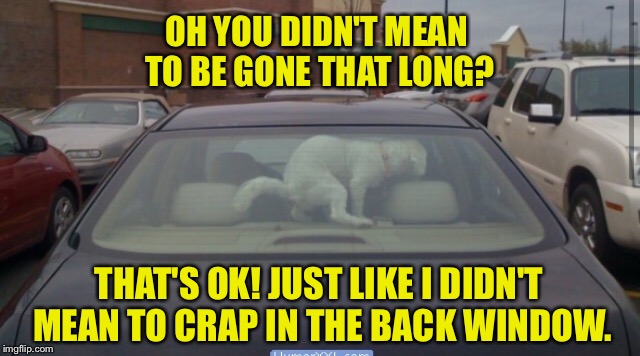 It's not like I was gone a week, puppy. | OH YOU DIDN'T MEAN TO BE GONE THAT LONG? THAT'S OK! JUST LIKE I DIDN'T MEAN TO CRAP IN THE BACK WINDOW. | image tagged in dog,puppy week,car meme,parking lot,waiting,poop | made w/ Imgflip meme maker