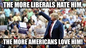 THE MORE LIBERALS HATE HIM, THE MORE AMERICANS LOVE HIM! | image tagged in trump | made w/ Imgflip meme maker
