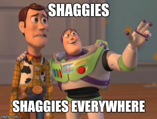 X, X Everywhere Meme | SHAGGIES SHAGGIES EVERYWHERE | image tagged in memes,x x everywhere | made w/ Imgflip meme maker