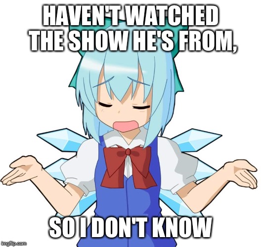 Anime Girl Shrug | HAVEN'T WATCHED THE SHOW HE'S FROM, SO I DON'T KNOW | image tagged in anime girl shrug | made w/ Imgflip meme maker