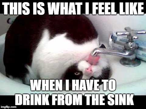 the struggle | THIS IS WHAT I FEEL LIKE; WHEN I HAVE TO DRINK FROM THE SINK | image tagged in the struggle | made w/ Imgflip meme maker