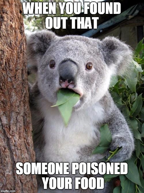 Surprised Koala | WHEN YOU FOUND OUT THAT; SOMEONE POISONED YOUR FOOD | image tagged in memes,surprised koala | made w/ Imgflip meme maker