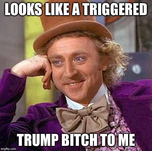 Creepy Condescending Wonka Meme | LOOKS LIKE A TRIGGERED TRUMP B**CH TO ME | image tagged in memes,creepy condescending wonka | made w/ Imgflip meme maker