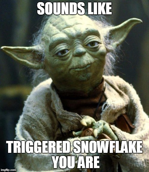 SOUNDS LIKE TRIGGERED SNOWFLAKE YOU ARE | image tagged in memes,star wars yoda | made w/ Imgflip meme maker