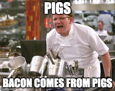 Gordon Ramsey meme | PIGS; BACON COMES FROM PIGS | image tagged in gordon ramsey meme | made w/ Imgflip meme maker