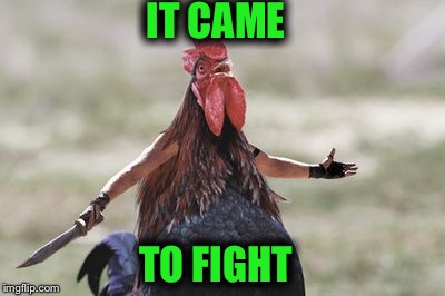 IT CAME TO FIGHT | image tagged in a | made w/ Imgflip meme maker