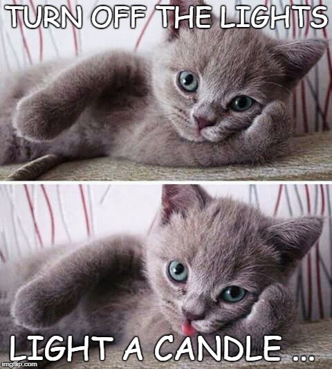 too cute | TURN OFF THE LIGHTS; LIGHT A CANDLE ... | image tagged in cats,romance,barry white,kittens,i love cats | made w/ Imgflip meme maker