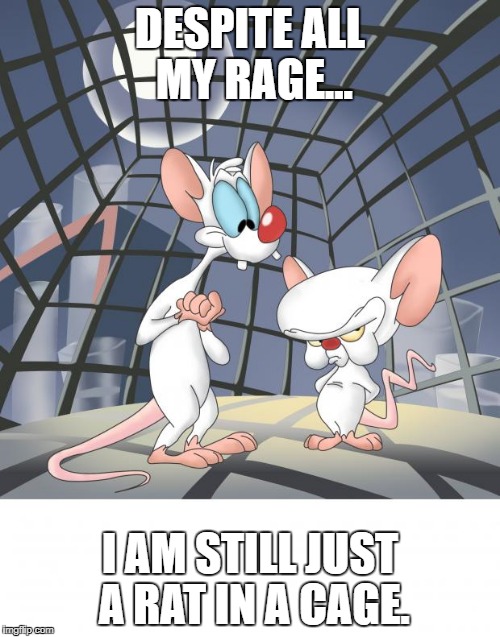 Pinky and the brain | DESPITE ALL MY RAGE... I AM STILL JUST A RAT IN A CAGE. | image tagged in pinky and the brain | made w/ Imgflip meme maker