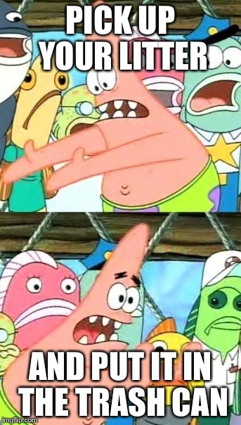 Stop Littering! | PICK UP YOUR LITTER; AND PUT IT IN THE TRASH CAN | image tagged in memes,put it somewhere else patrick,litter,trash can,garbage can,pick it up | made w/ Imgflip meme maker