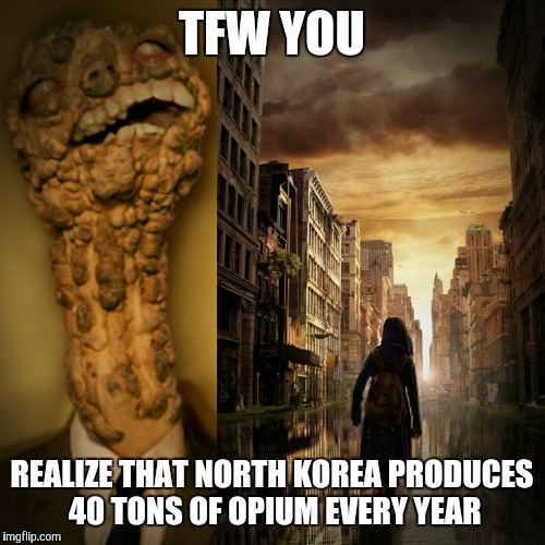 The Real Reason Behind All the Propaganda On Social Media | TFW YOU; REALIZE THAT NORTH KOREA PRODUCES 40 TONS OF OPIUM EVERY YEAR | image tagged in politics,political,north korea,donald trump,kim jong un | made w/ Imgflip meme maker