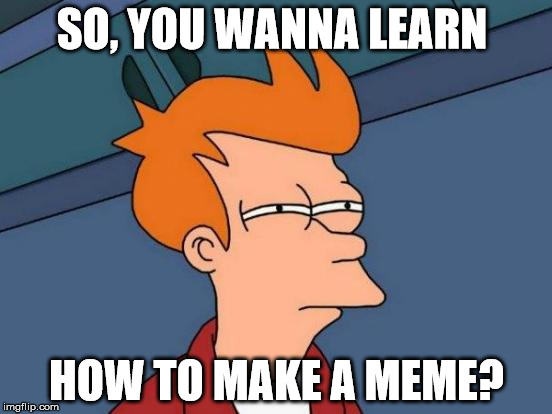 a simple question | SO, YOU WANNA LEARN; HOW TO MAKE A MEME? | image tagged in memes,futurama fry | made w/ Imgflip meme maker