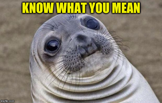 Awkward Moment Sealion Meme | KNOW WHAT YOU MEAN | image tagged in memes,awkward moment sealion | made w/ Imgflip meme maker