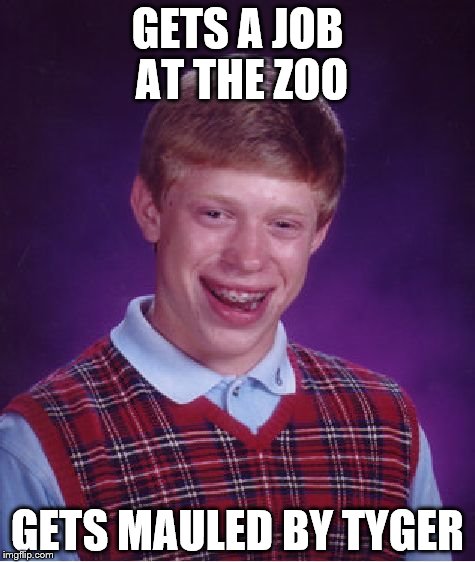 Bad Luck Brian Meme | GETS A JOB AT THE ZOO; GETS MAULED BY TYGER | image tagged in memes,bad luck brian | made w/ Imgflip meme maker