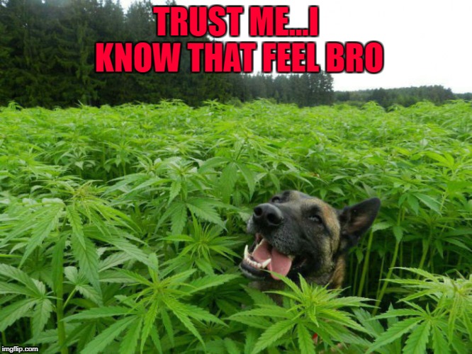 TRUST ME...I KNOW THAT FEEL BRO | made w/ Imgflip meme maker