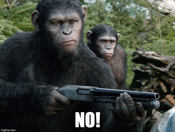 NO! | made w/ Imgflip meme maker
