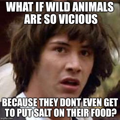 And they Never Get Dessert | WHAT IF WILD ANIMALS ARE SO VICIOUS; BECAUSE THEY DONT EVEN GET TO PUT SALT ON THEIR FOOD? | image tagged in memes,conspiracy keanu | made w/ Imgflip meme maker