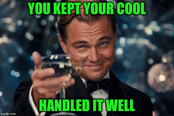 Leonardo Dicaprio Cheers Meme | YOU KEPT YOUR COOL HANDLED IT WELL | image tagged in memes,leonardo dicaprio cheers | made w/ Imgflip meme maker