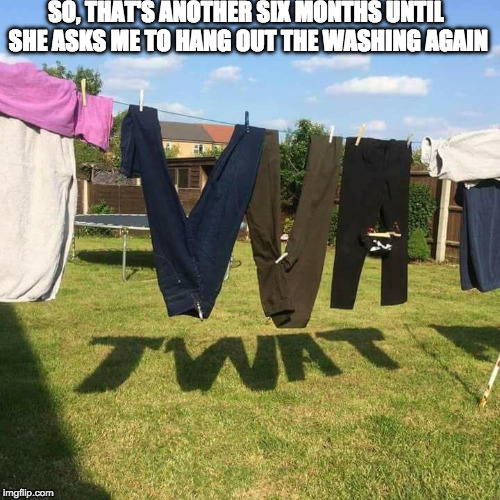Twat | SO, THAT'S ANOTHER SIX MONTHS UNTIL SHE ASKS ME TO HANG OUT THE WASHING AGAIN | image tagged in twat | made w/ Imgflip meme maker